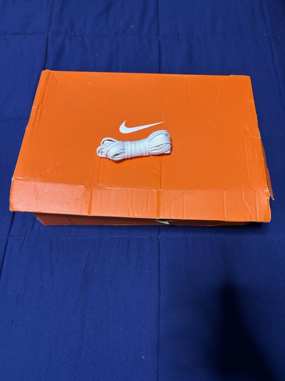 Size 10 – Nike Dunk High Sports Specialties 2021 DH0953-400