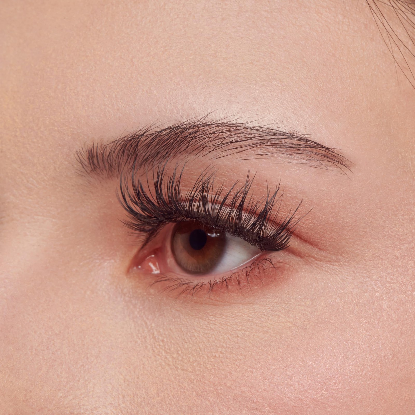 Kiss Lash Couture Luxtension False Eyelashes, Royal Silk