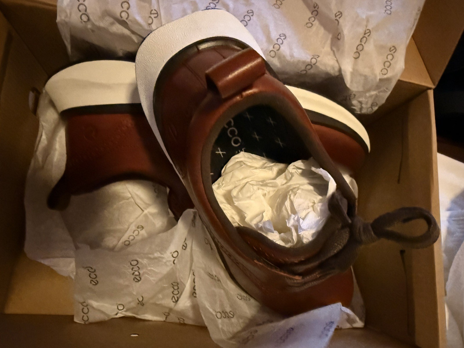 ECCO Biom 2.2 Men’s Hybrid Sneaker Size 42 (USA 8-8.5)Cognac – NEW IN BOX
