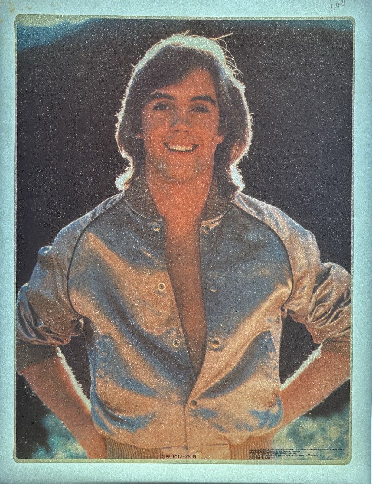 Original Vintage 1977 Shaun Cassidy Teen Heartthrob Iron On Transfer