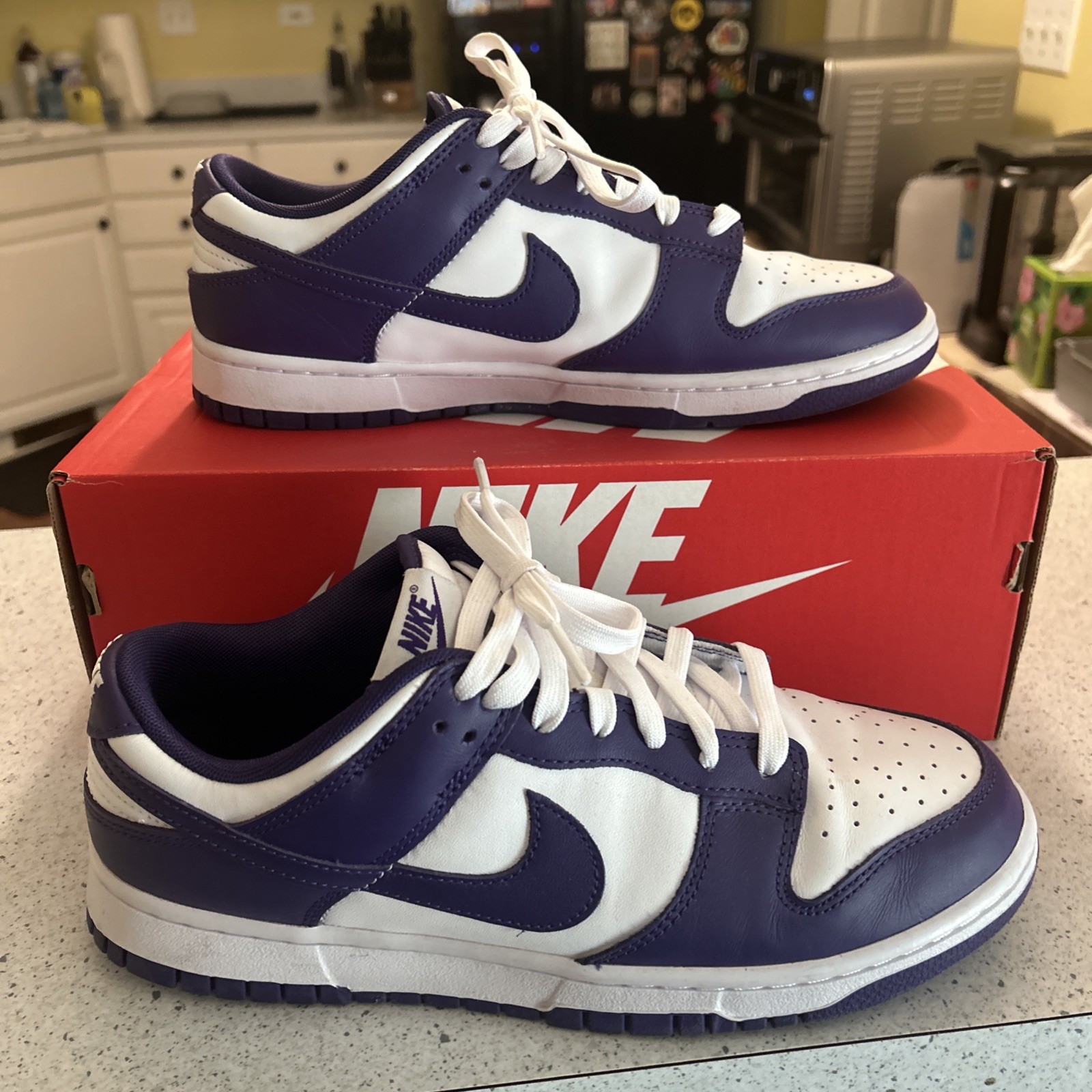 Nike Dunk Low Court Purple Men’s Size 9.5 DD1391-104
