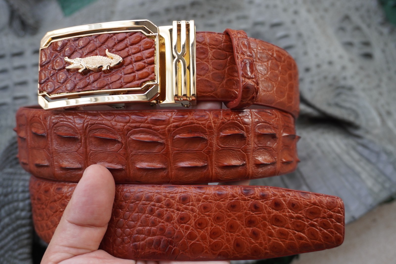 Cognac Genuine CROCODILE Hornback LEATHER Skin Men’s Belt -W 1.5 inch # C65
