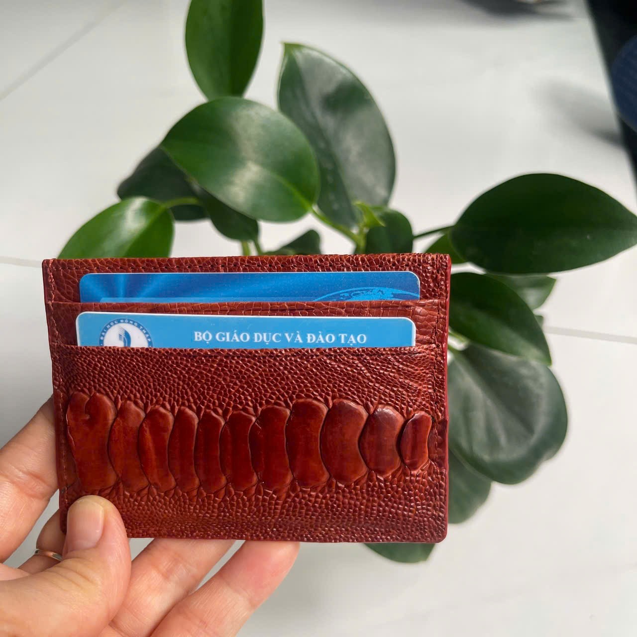 BrownGENUINE OSTRICH LEATHER SKIN CREDIT CARD HOLDER/ WALLET CARD HOLDER FOR MEN