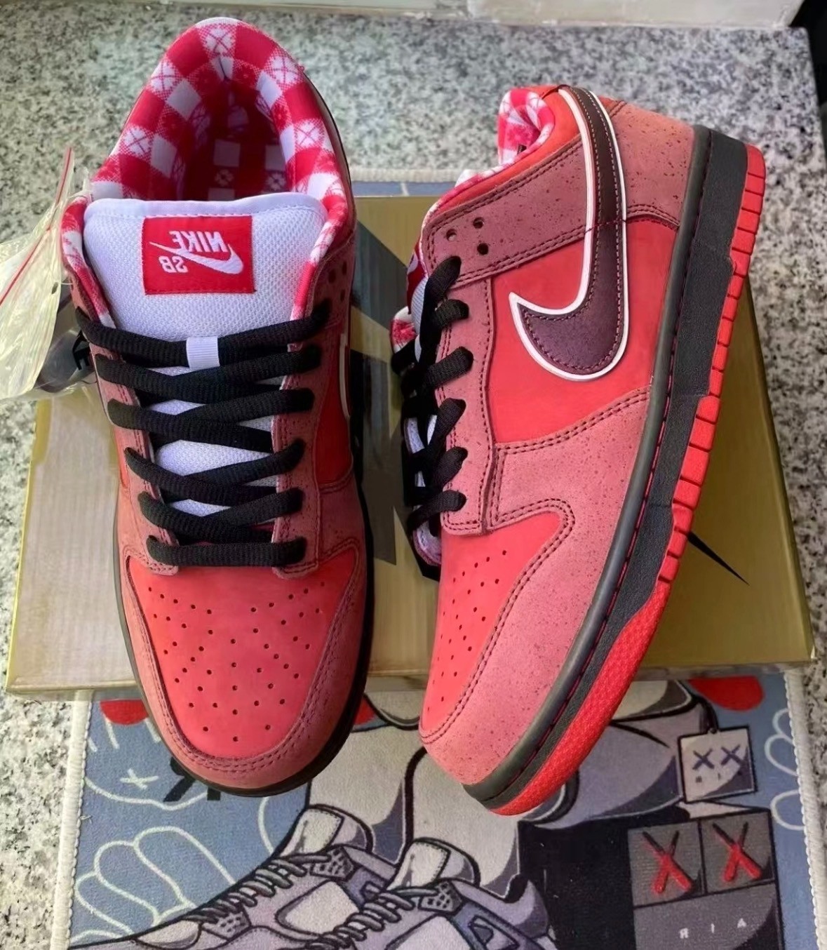 NEW Nike SB Dunk Low Concepts Red Lobster 313170-661