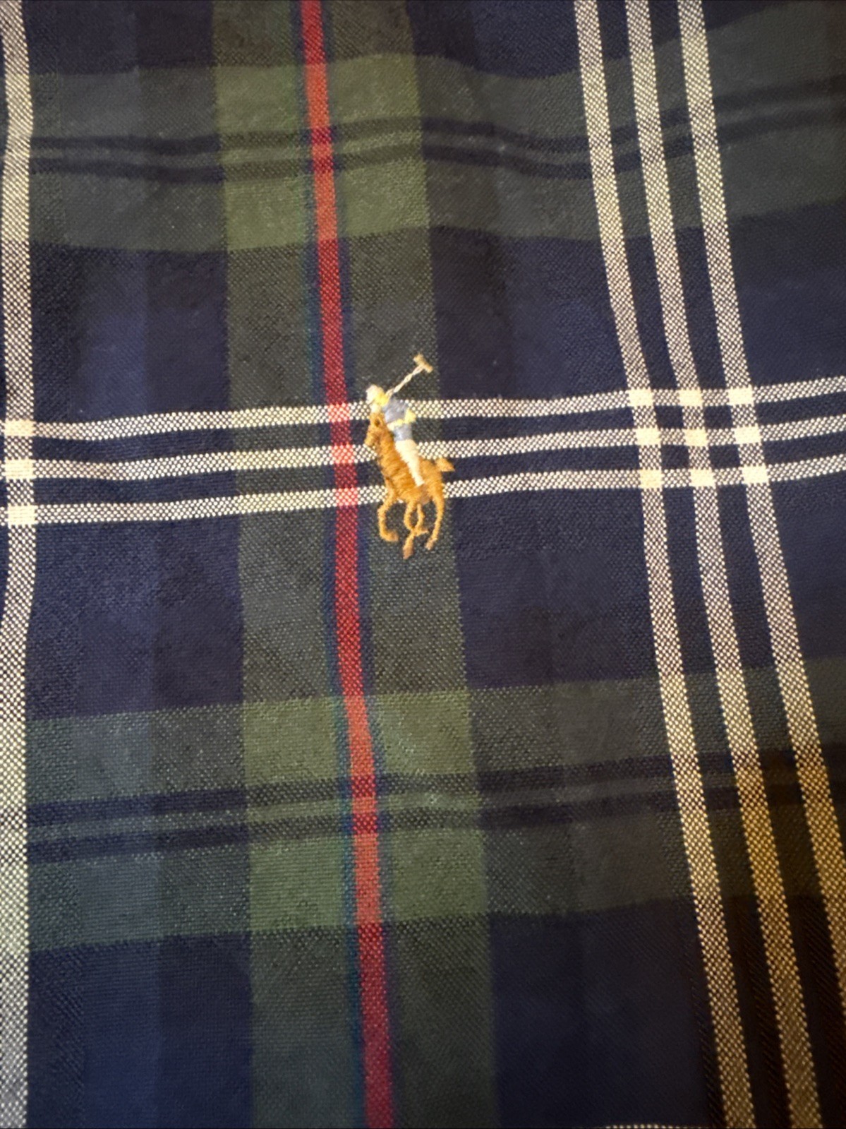 Ralph Lauren Shirt Men Large Blue Green Button Down Preppy Plaid Full Color Jock