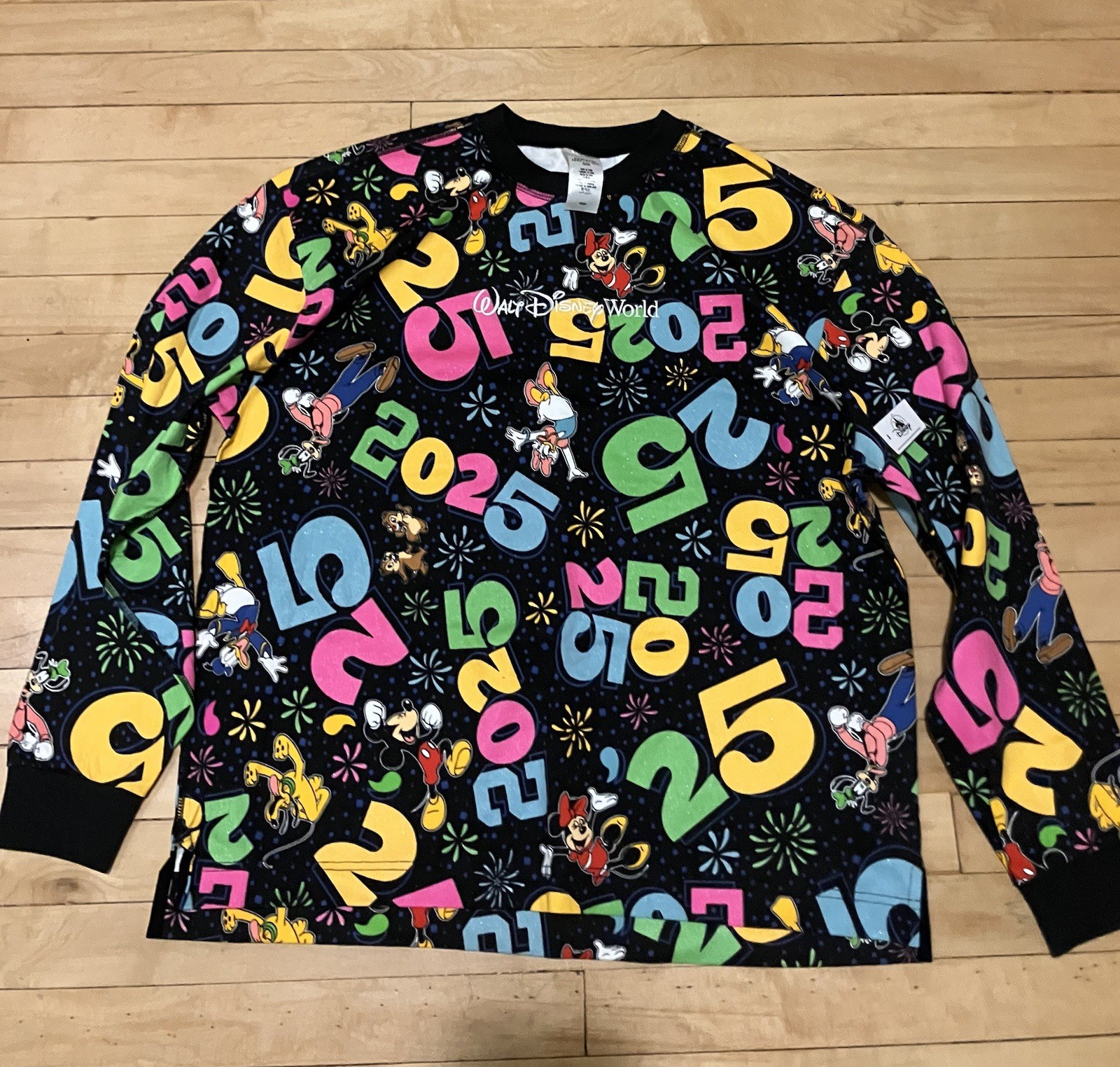 Disney Spirit Jersey ( Medium)