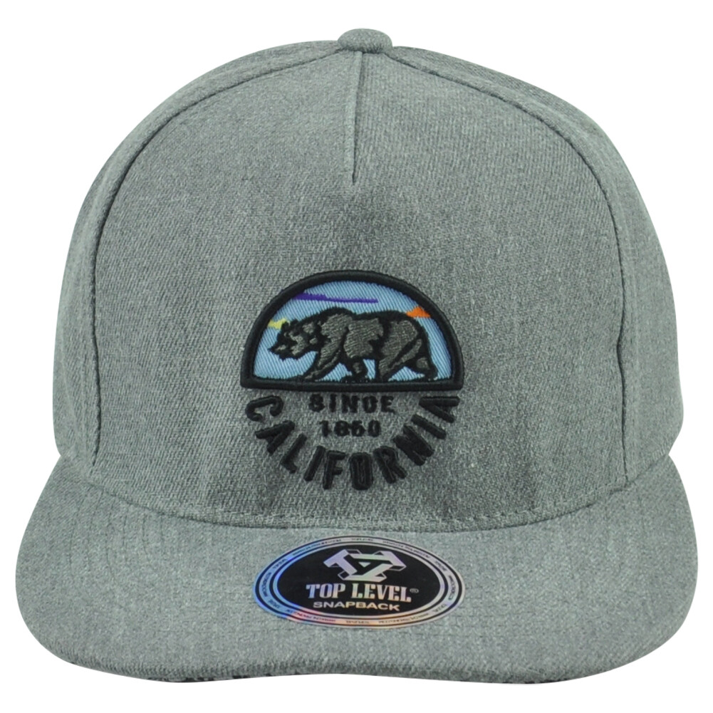 Top Level California Cali Bear Logo 1860 State Flat Bill Adults Snapback Hat Cap