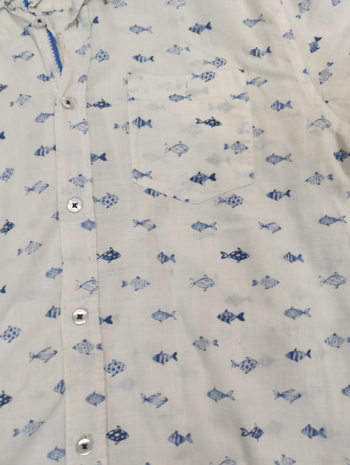 International Report Button Down Shirts Fish, Fruit, And Trees Pattern L