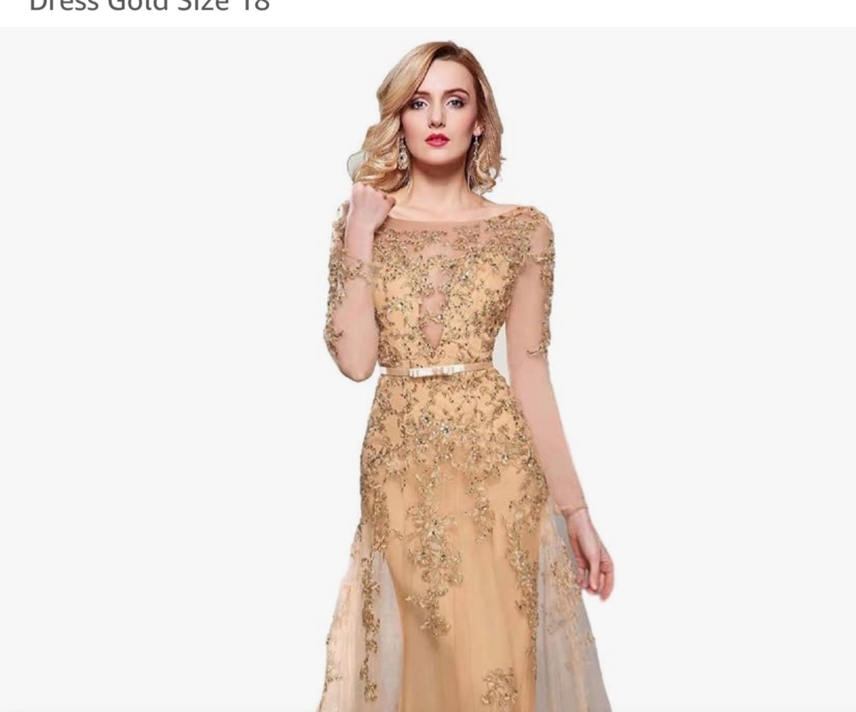 Meier Women’s Gold Illusion Long Sleeve Embroidery Prom Formal Dress Size 18