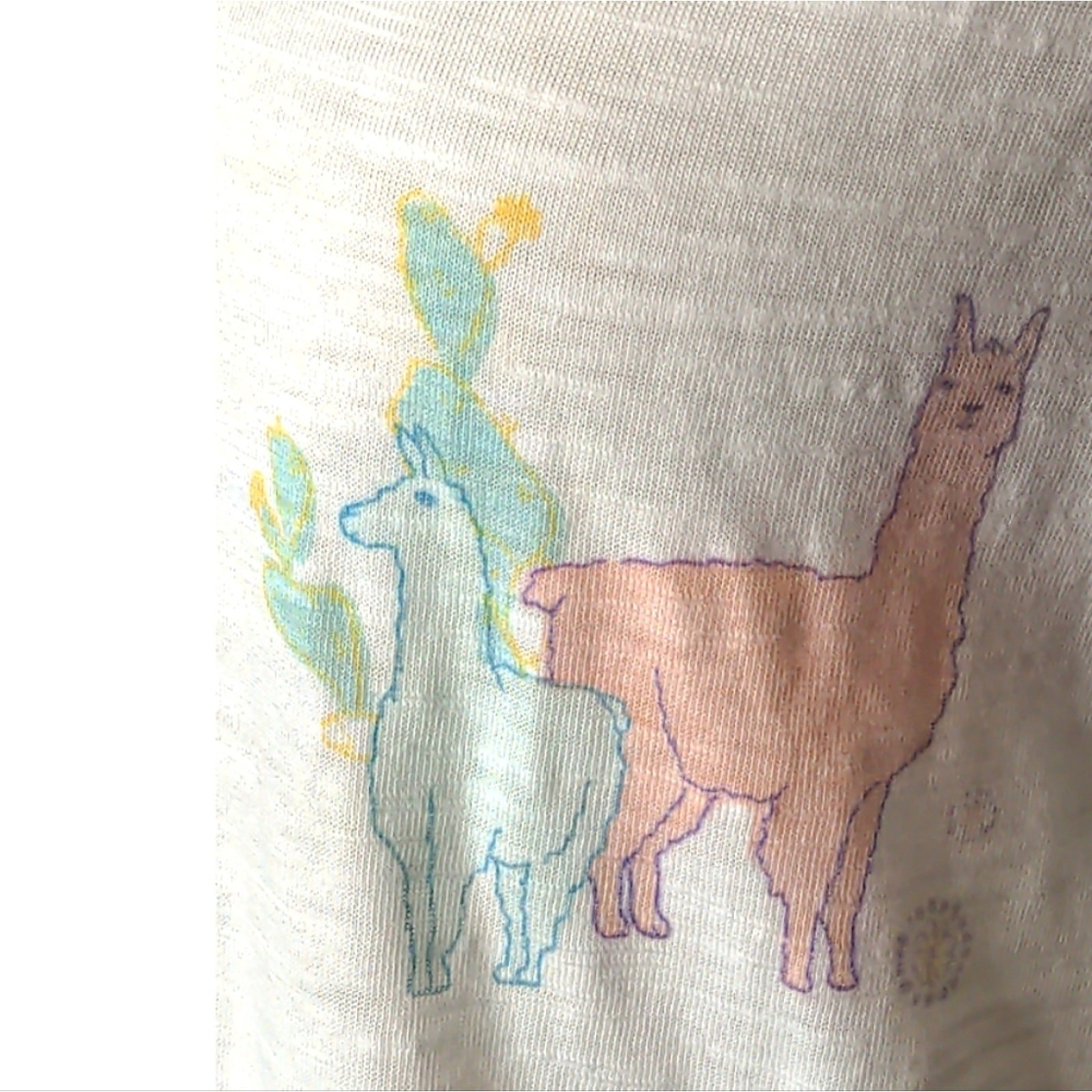 MUDD Roadtrip Tee White Llama Cactus Floral V-Neck Burnout Tee Small
