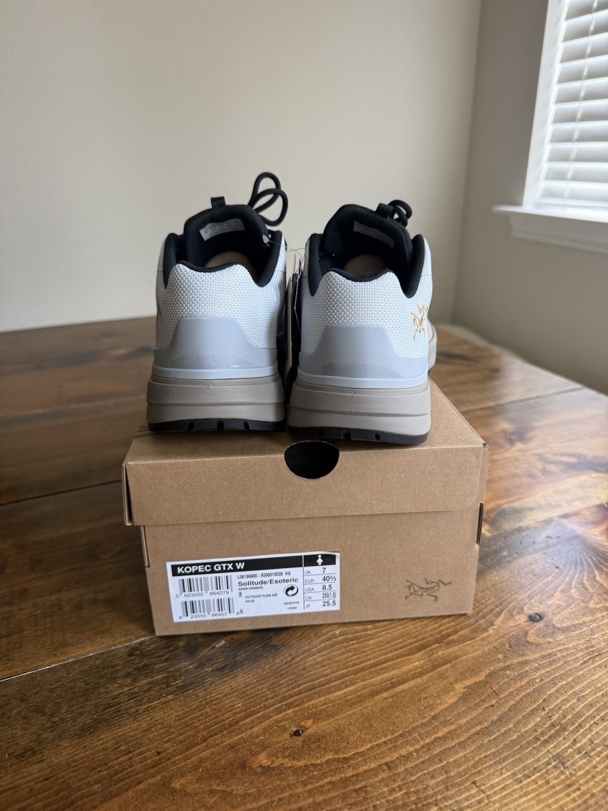 Arc’teryx Kopek GTX Trainer