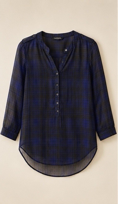 Express Semi Transparent Plaid Blouse Women’s XS Blue Black Sheer Button Top