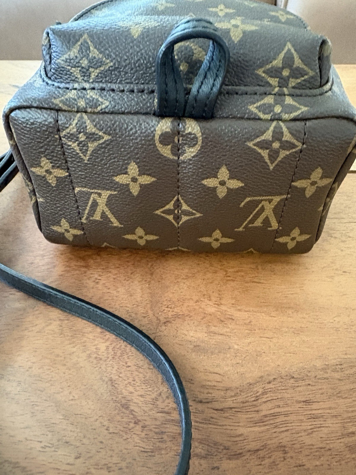 Louis Vuitton Palm Springs Backpack Mini Brown Canvas Monogram