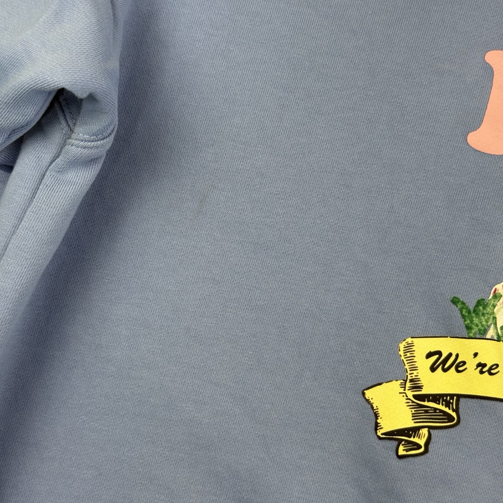 The Mayfair Group BE NICE! Graphic Sweatshirt L/XL Blue Oversized Collar