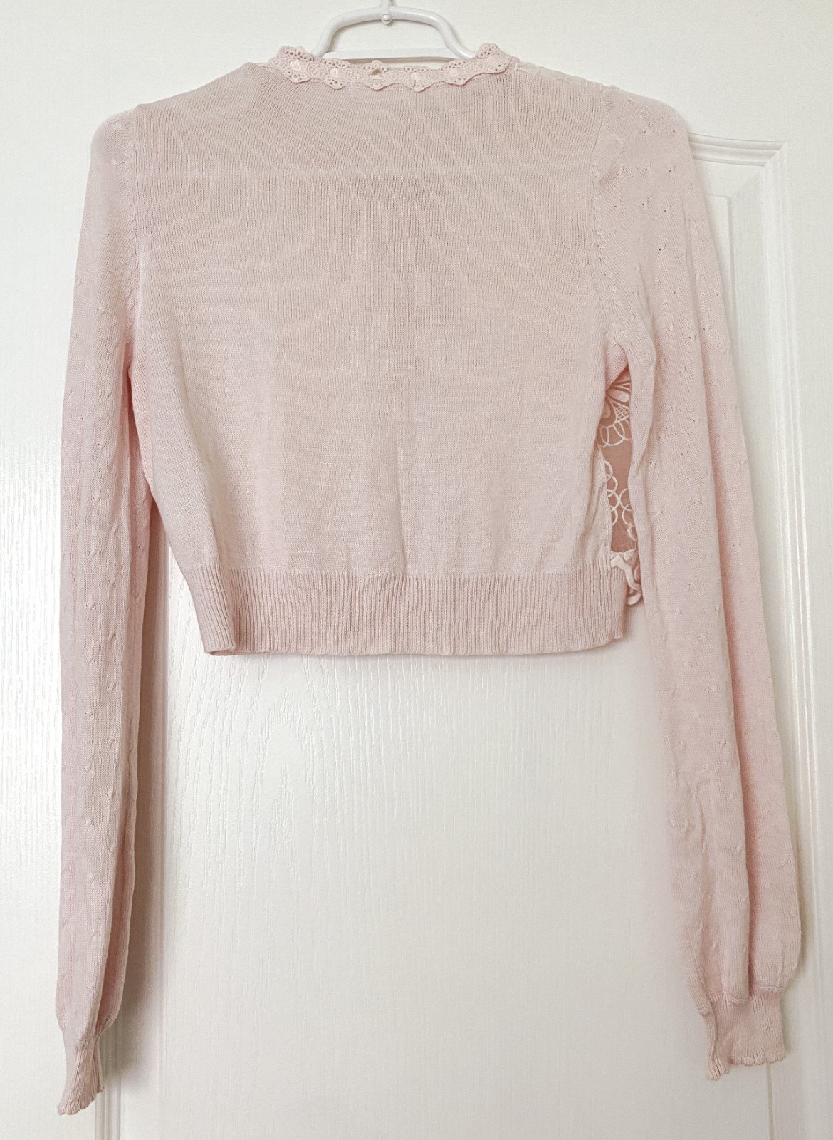 Liz Lisa Pink Floral Cardigan Sheer Long Sleeve Button Top Blouse Hime JAPAN