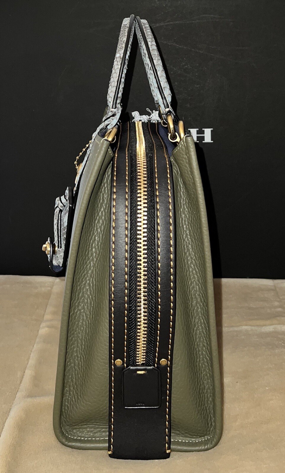 Coach 1941 MTO Rogue Bag In Colorblock With Snakeskin Detail, Style 59997, NWT!