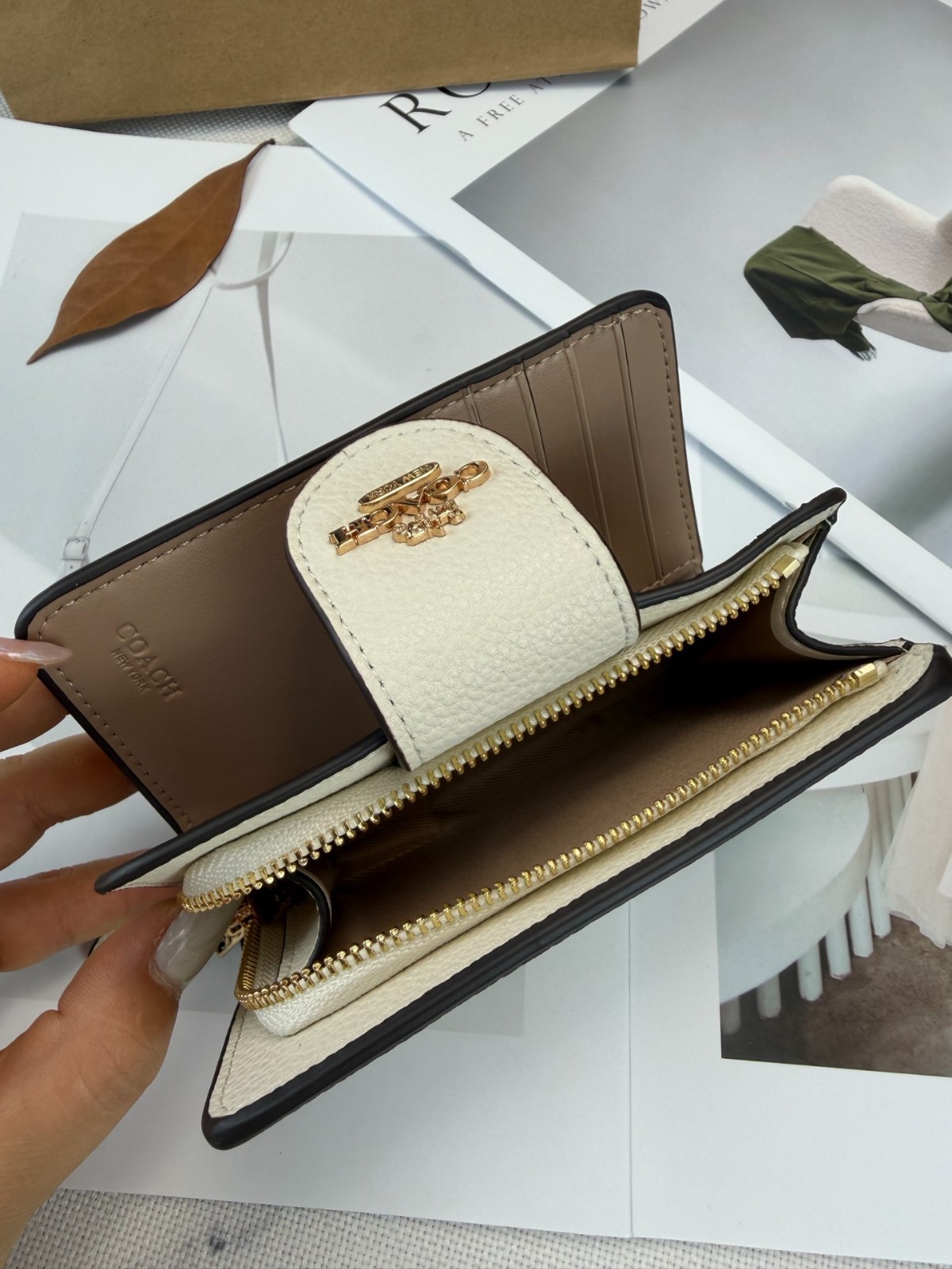 Medium Corner Zip Wallet With Sketch Print In Gold/Chalk CAO94 SHIP FROM US
