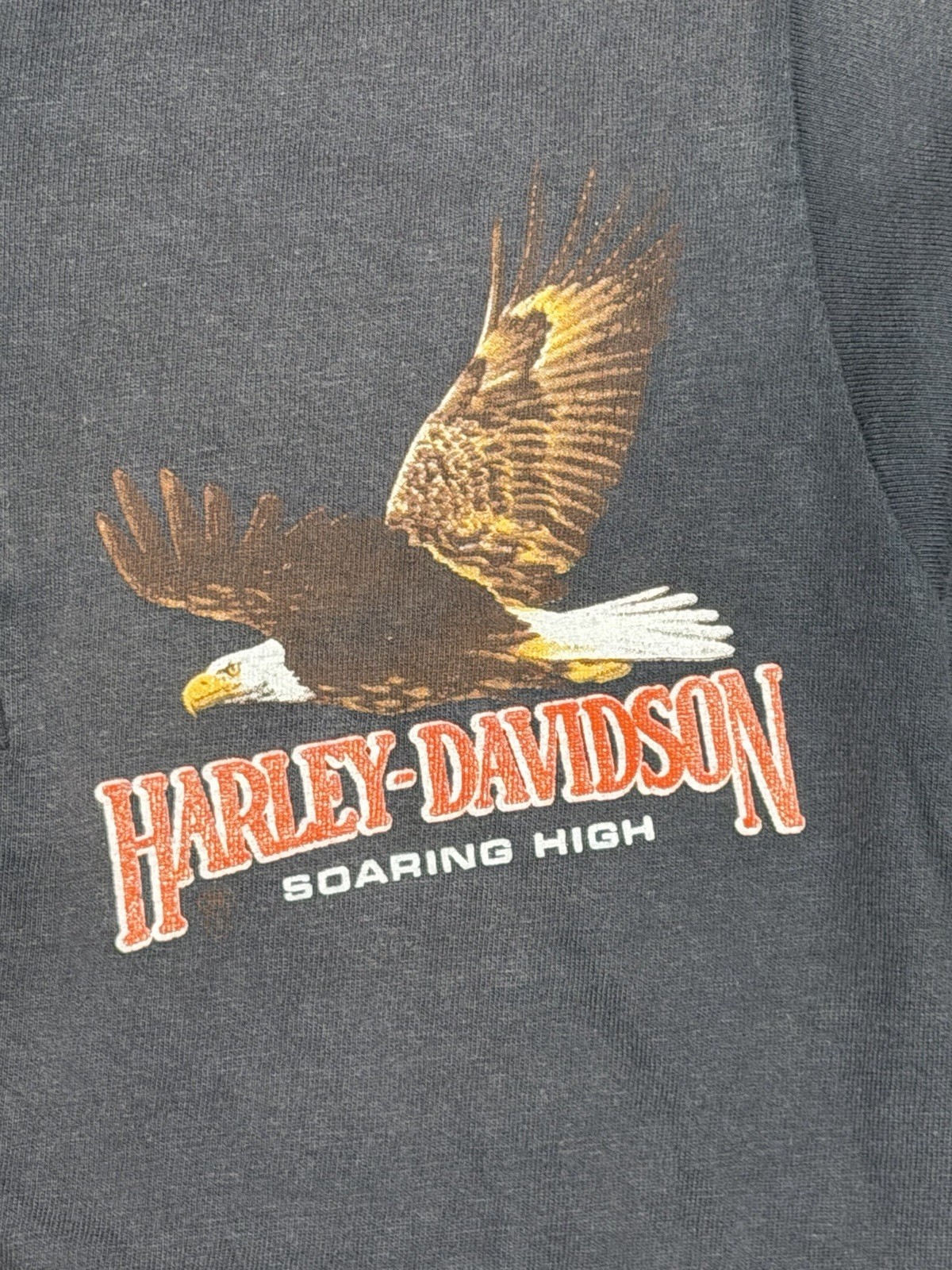 1990 Harley Davidson T shirt Green River, Wyoming. R.K.Stratman