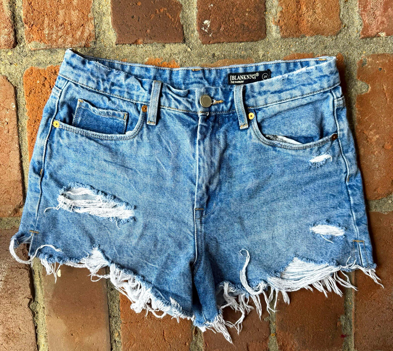 BLANKNYC The Barrow Blue Distressed Denim Cutoff Shorts 5-Pocket Size 29