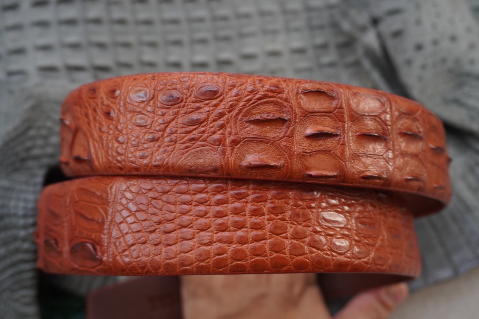Cognac Genuine CROCODILE Hornback LEATHER Skin Men’s Belt -W 1.5 inch # C65