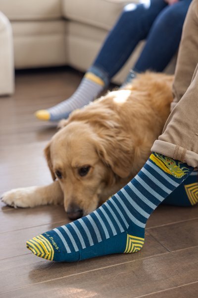 Darn Tough 6066 Dark Teal Men’s Animal Haus Crew Lightweight Octopus Sock Socks