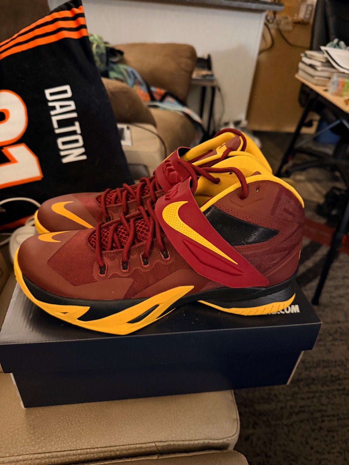 custom Nike iD LeBron sneakers (2015). Return of the King