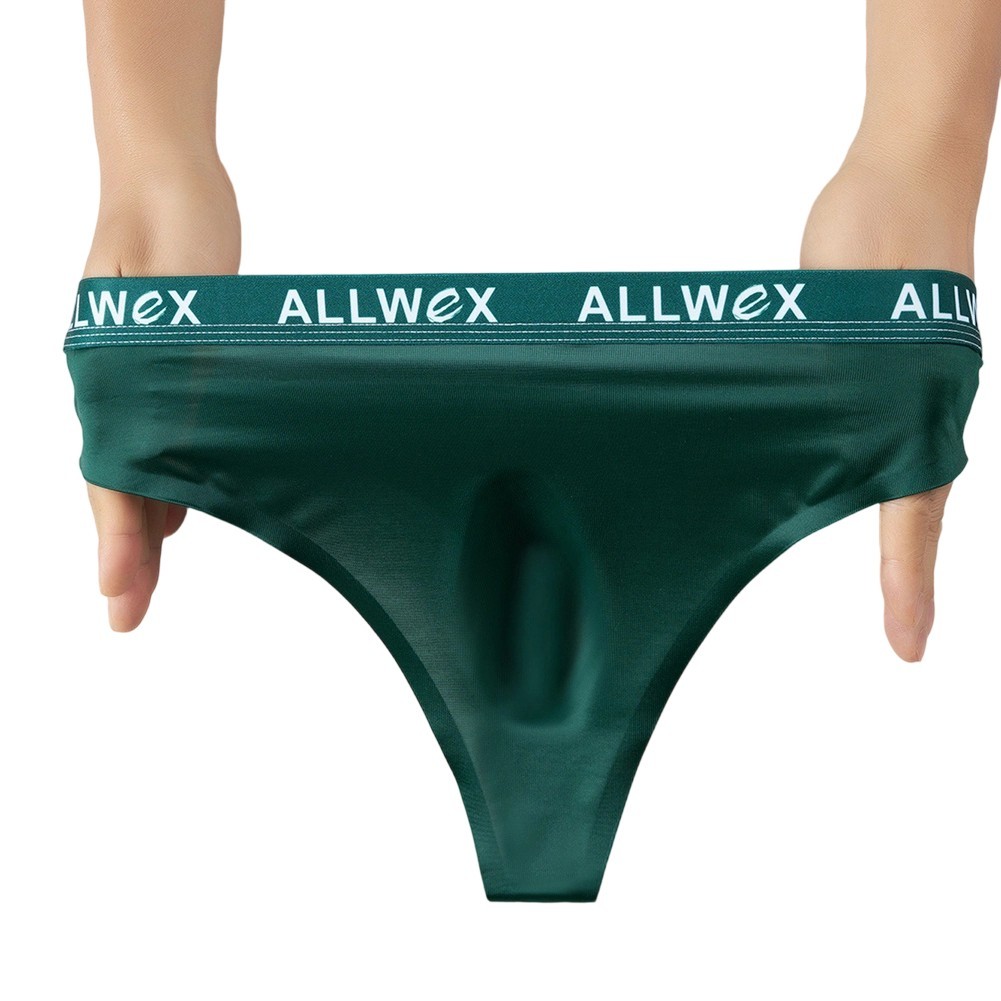 Men Ice Silk Smooth Underwear Bulge Pouch Seamless Knickers G-string Thongs New