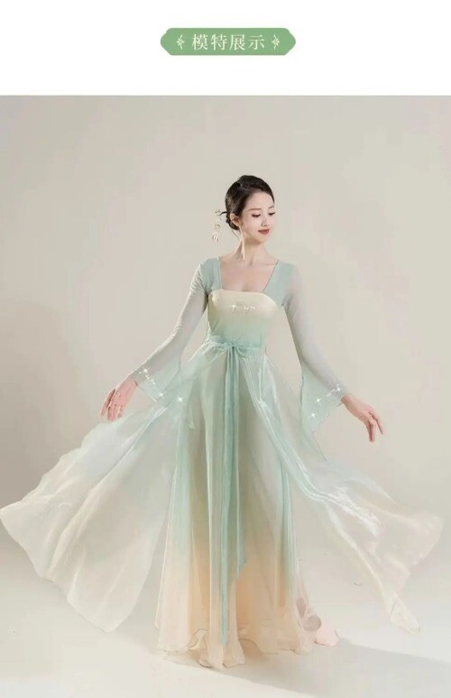 Classical Dance Costume for Women Han Tang Dynasty Showcasing Elegant Mesh Dress