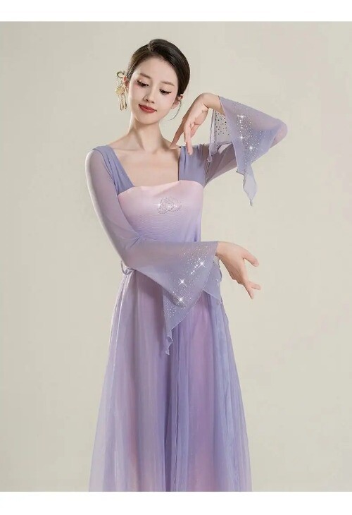 Classical Dance Costume for Women Han Tang Dynasty Showcasing Elegant Mesh Dress
