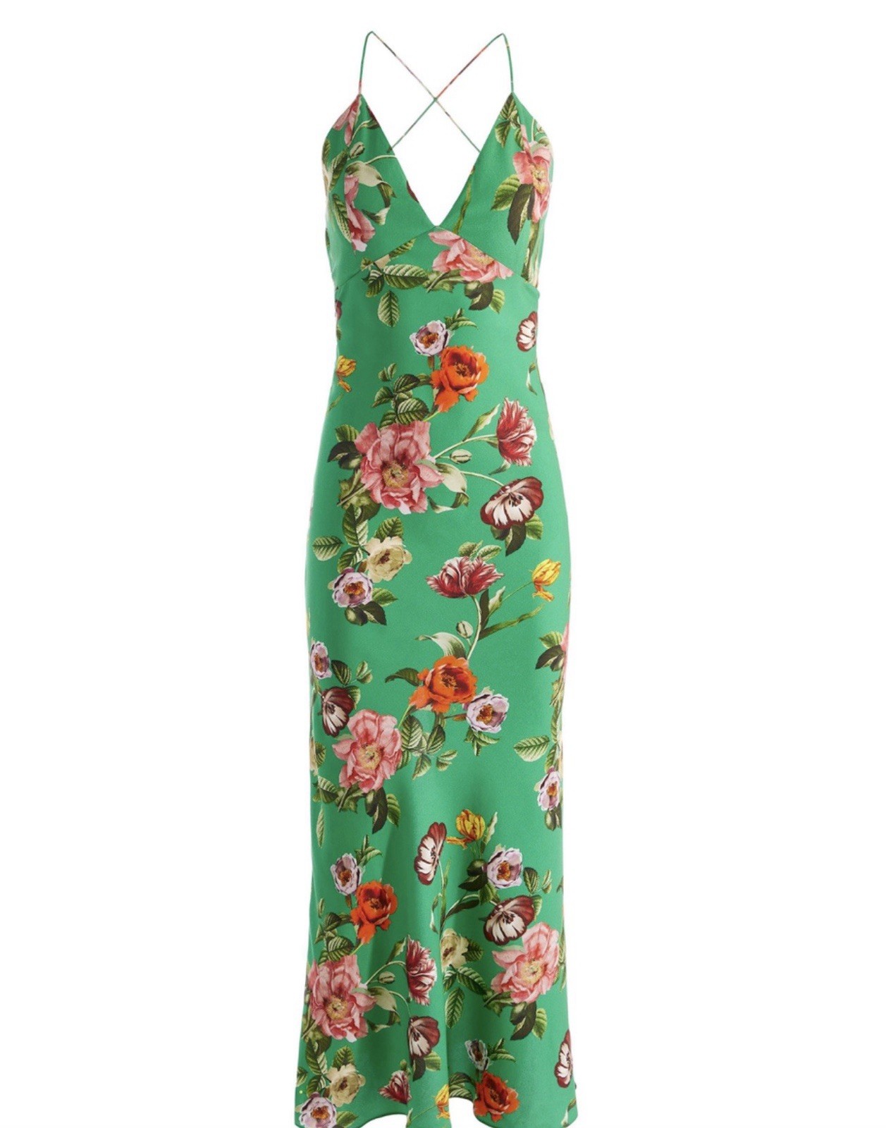 Alice and Olivia Loma Multicolor Maxi Slip Dress Green Floral Size 4