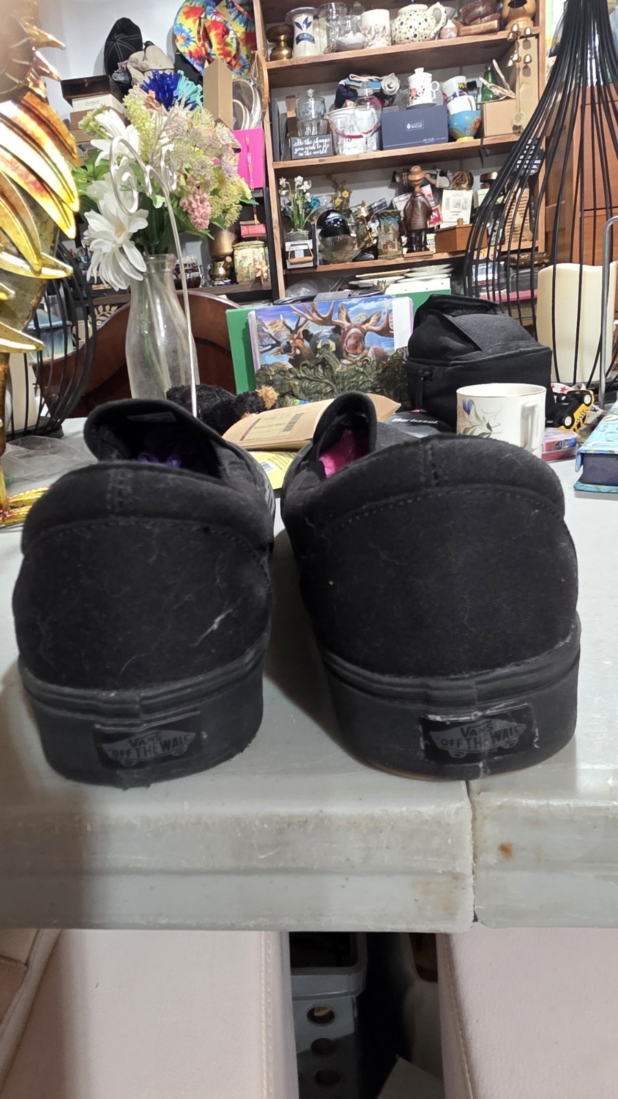 Size 12 – VANS Black