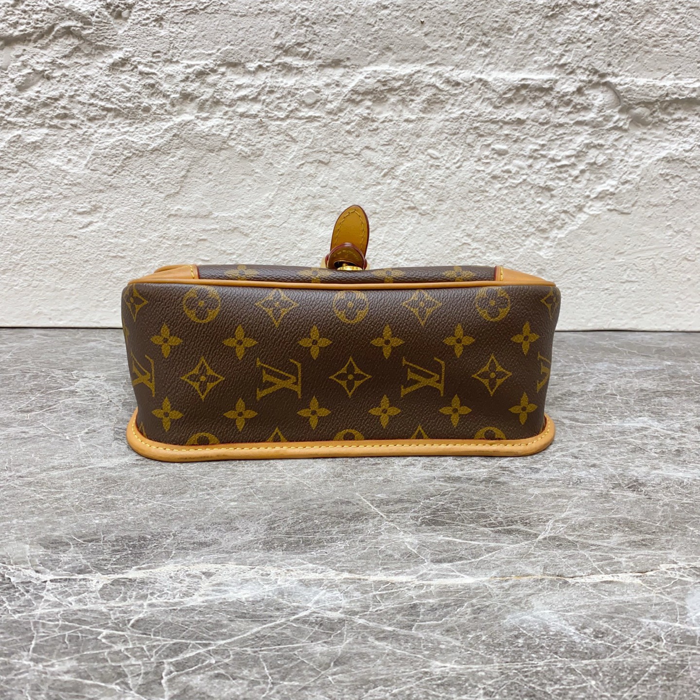 Louis Vuitton Diane presbyterian underarm baguette chip (24 × 15 × 9)cm