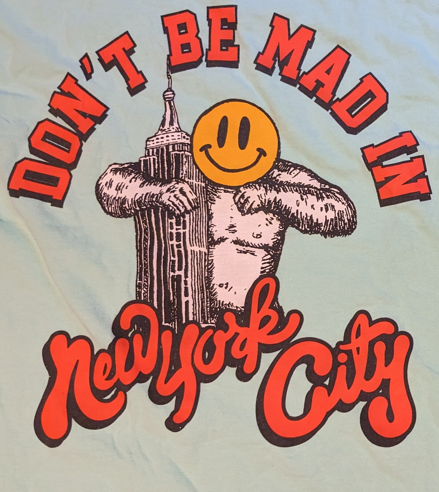 JOE FRESH GOODS Don’t Be Mad New York City NYC DBM T-Shirt Size L Mint Green