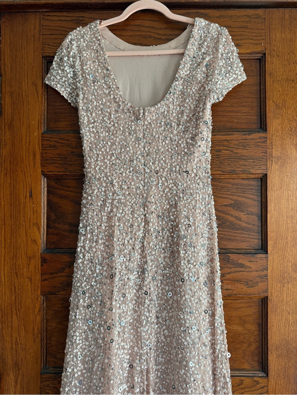 ADRIANNA PAPELL Scoop Back Sequin Maxi Gown Short Sleeve Full Length Blush Nude