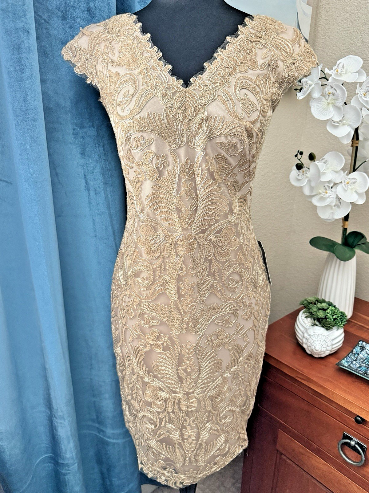 TADASHI SHOJI CORDED EMBROIDERED LACE DRESS SIZE 2