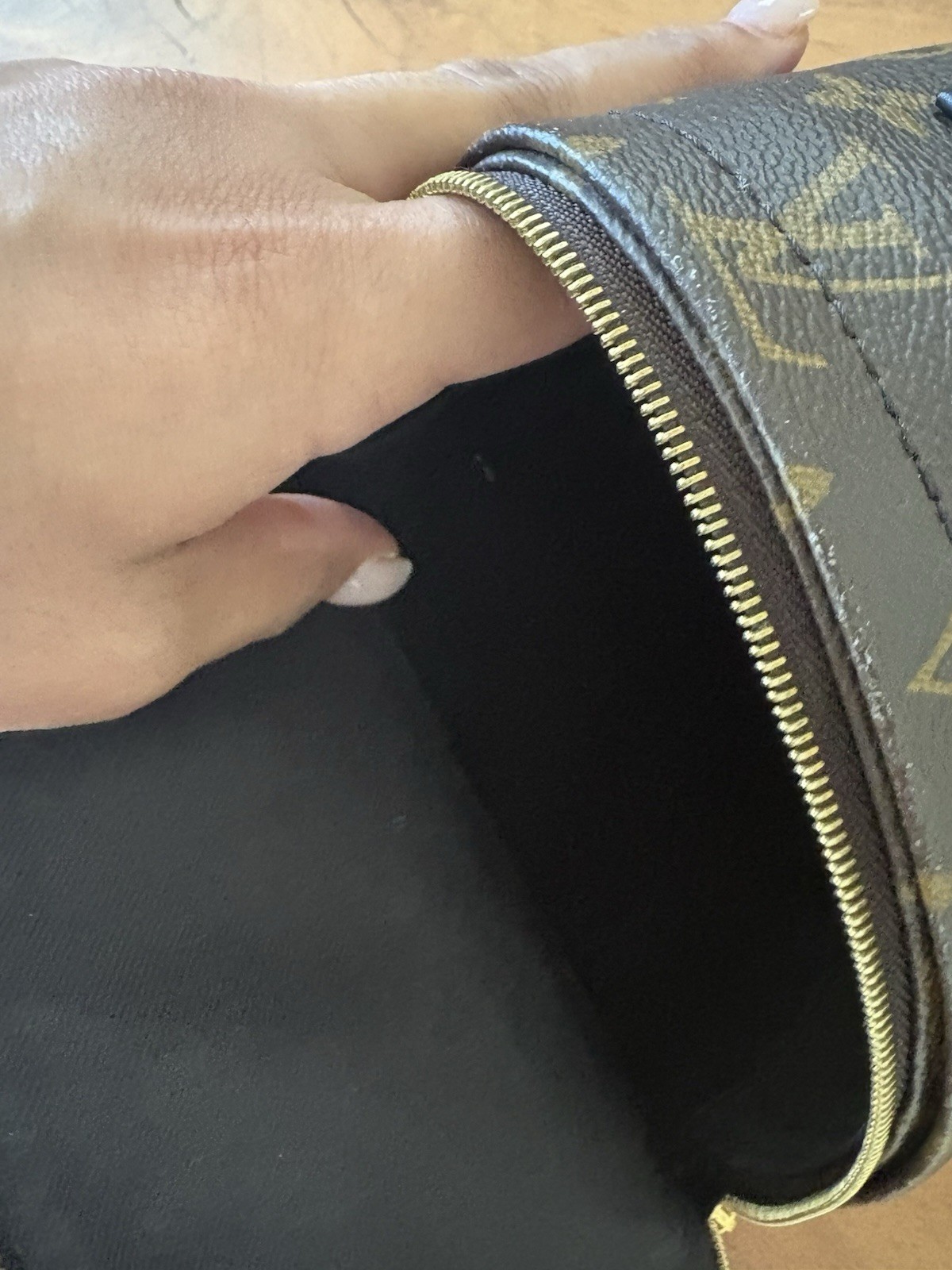 Louis Vuitton Palm Springs Backpack Mini Brown Canvas Monogram