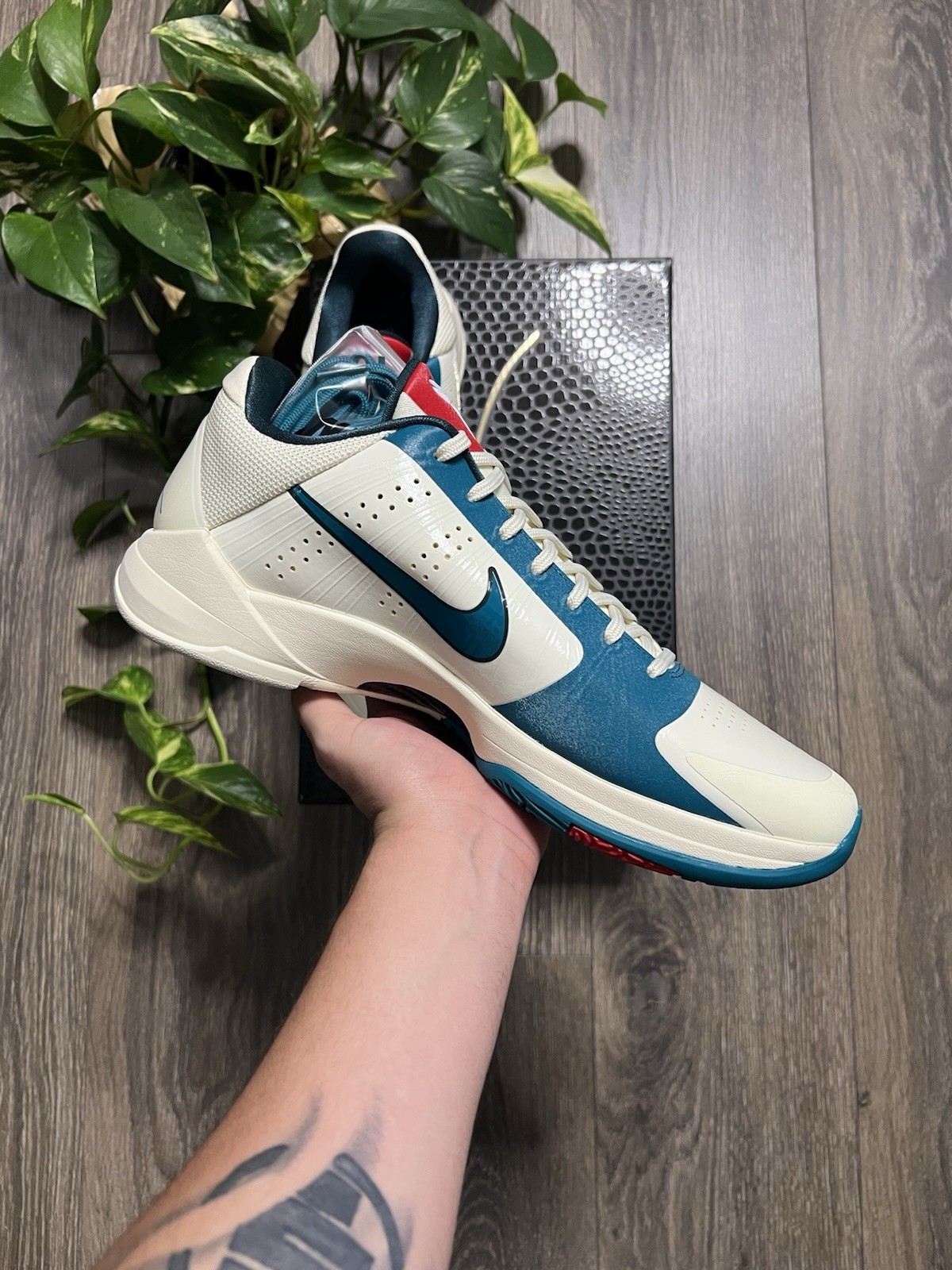 Size 11 – Nike Kobe 5 Protro Caitlin Clark Coconut Milk