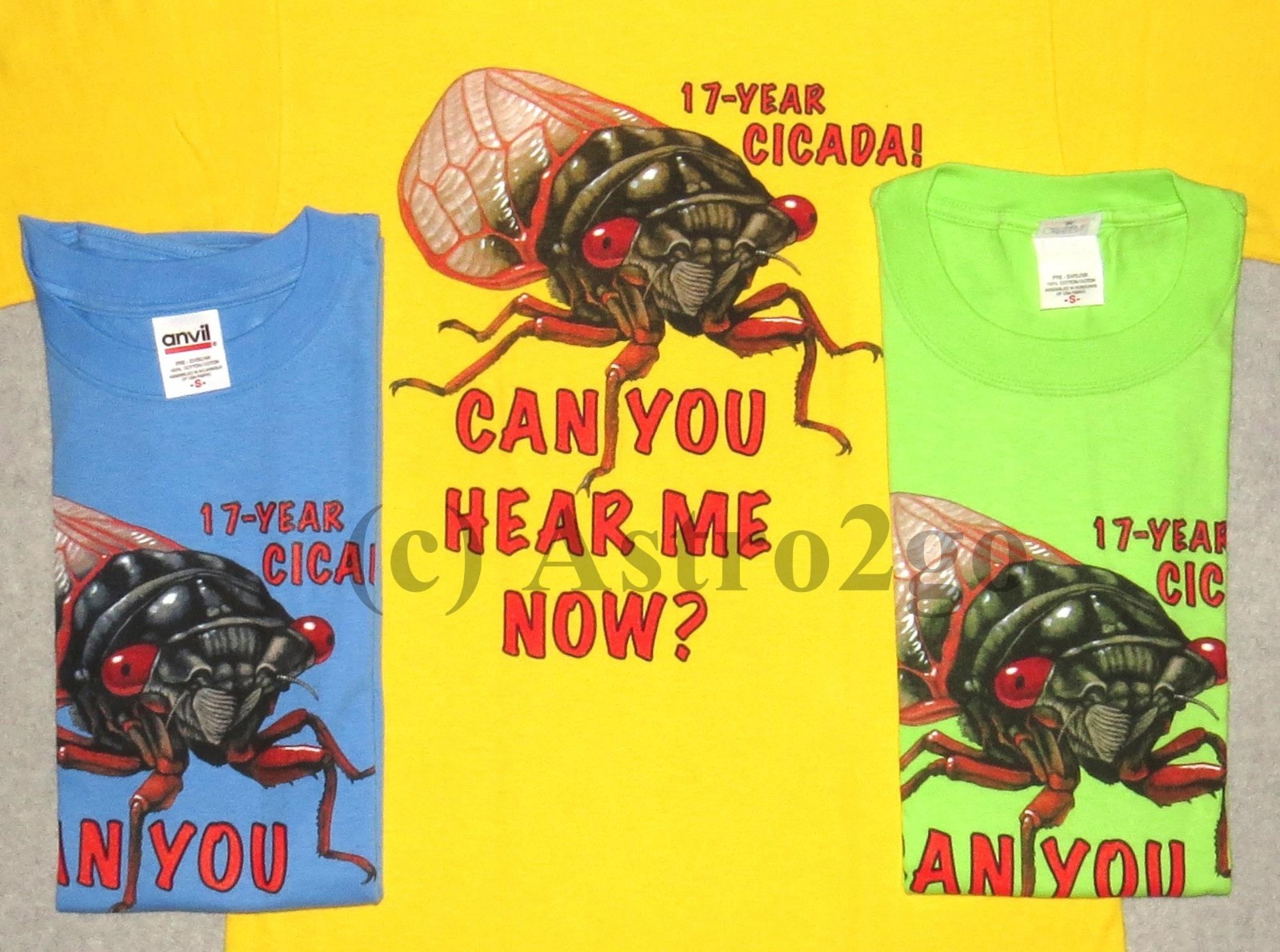 17-YEAR CICADA! CAN YOU HEAR ME NOW?-Bugs Insects Biology Science T shirt Small