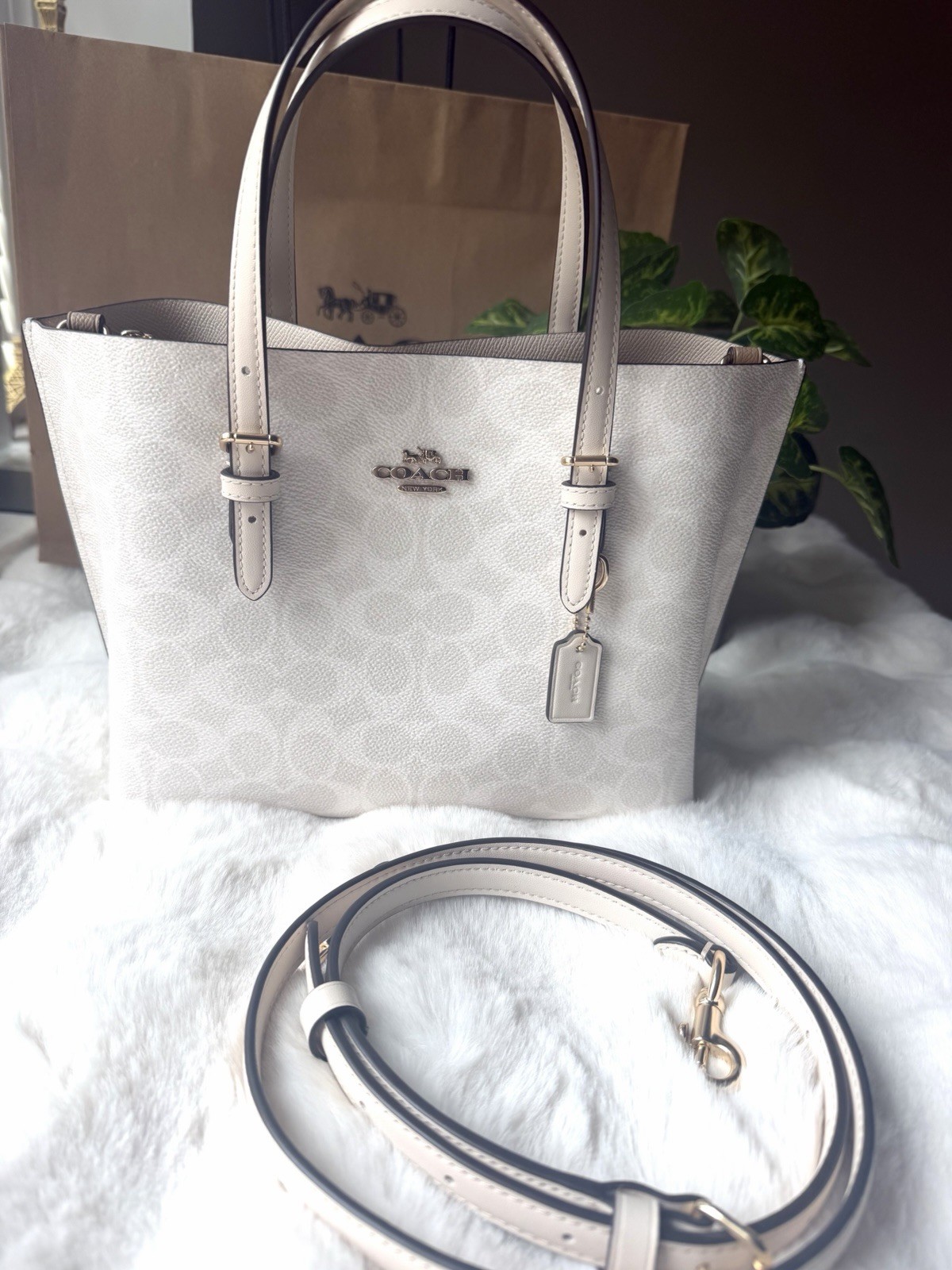 Coach Mollie Tote Bag 25 In Signature Canvas IN White/Chalk. Authentic. NWT