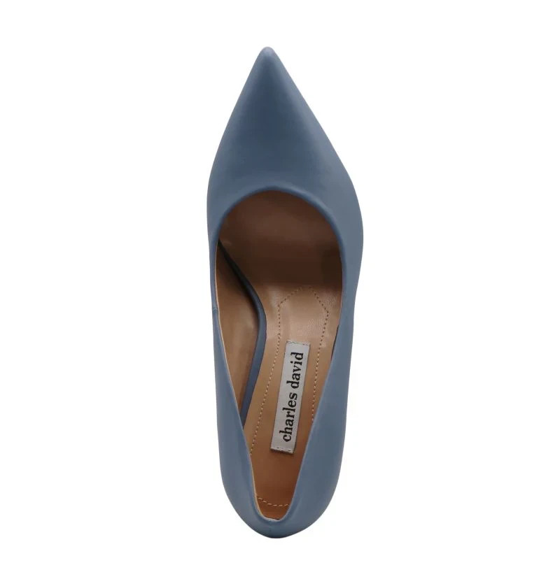 Charles David Geno Womens Pointed Closed Toe Stiletto Heel Pumps, 6 Medium, Blue