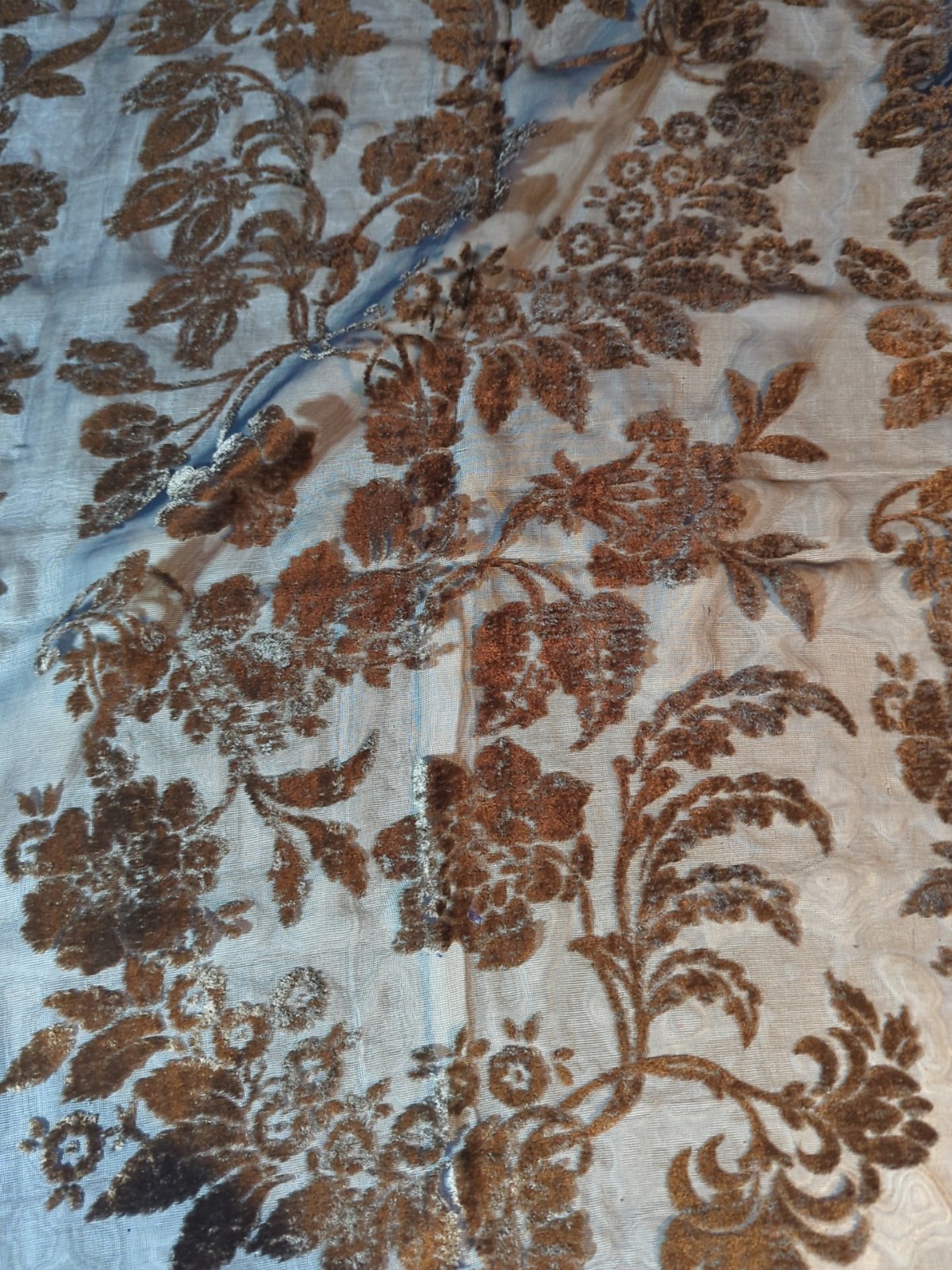 All That Glitters Burnout Velvet Scarf Blue Brown Floral Tasseled Shawl Wrap