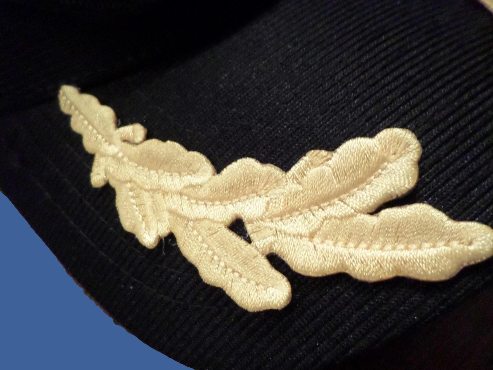 U.S MILITARY EMBROIDERED ARMY SCRAMBLED EGGS OFFICERS FRETTING IRON ON PATCHES