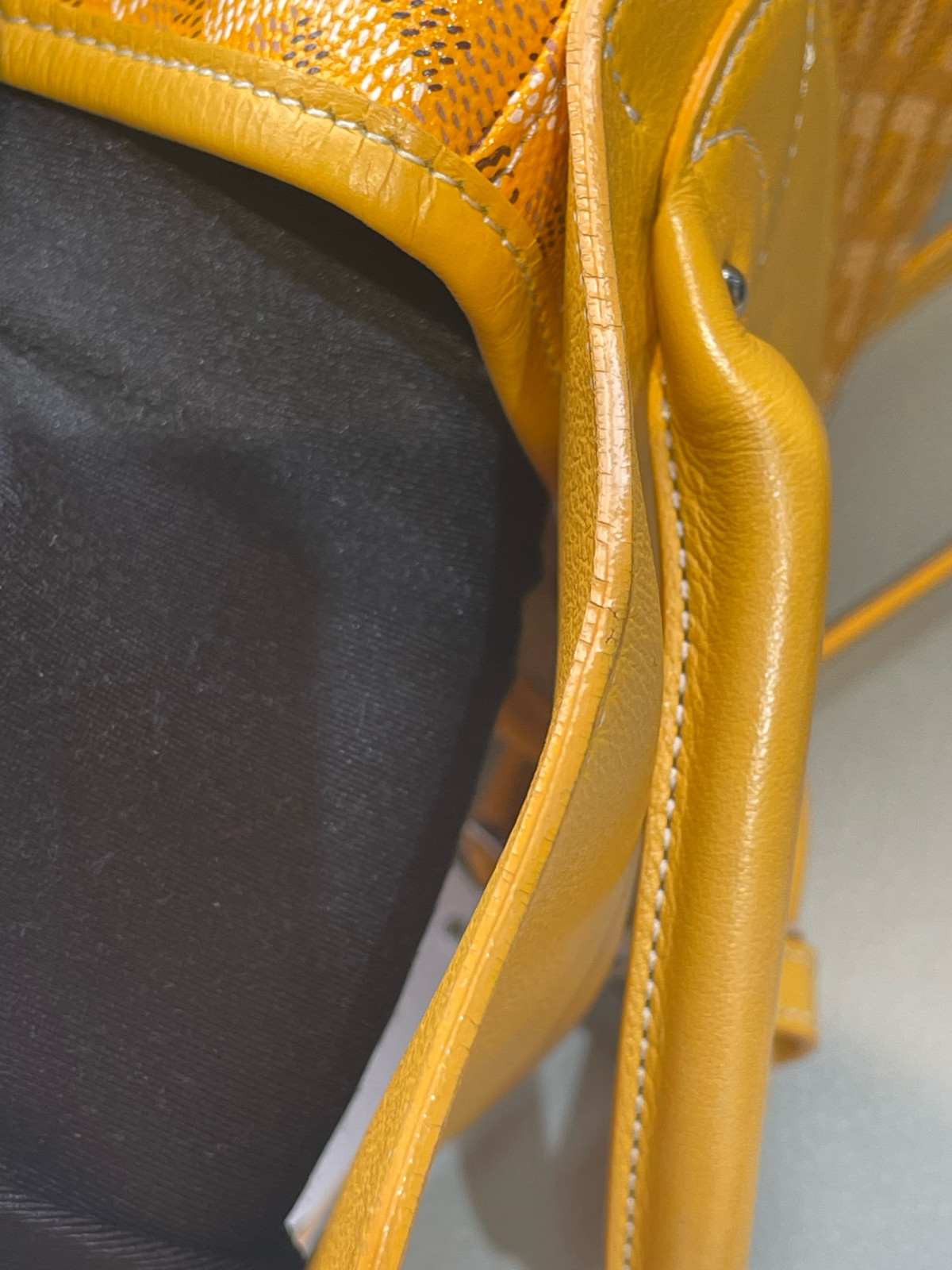 Goyard Alpin Mini Canvas Backpack（ 23×9.5×19 ）cm