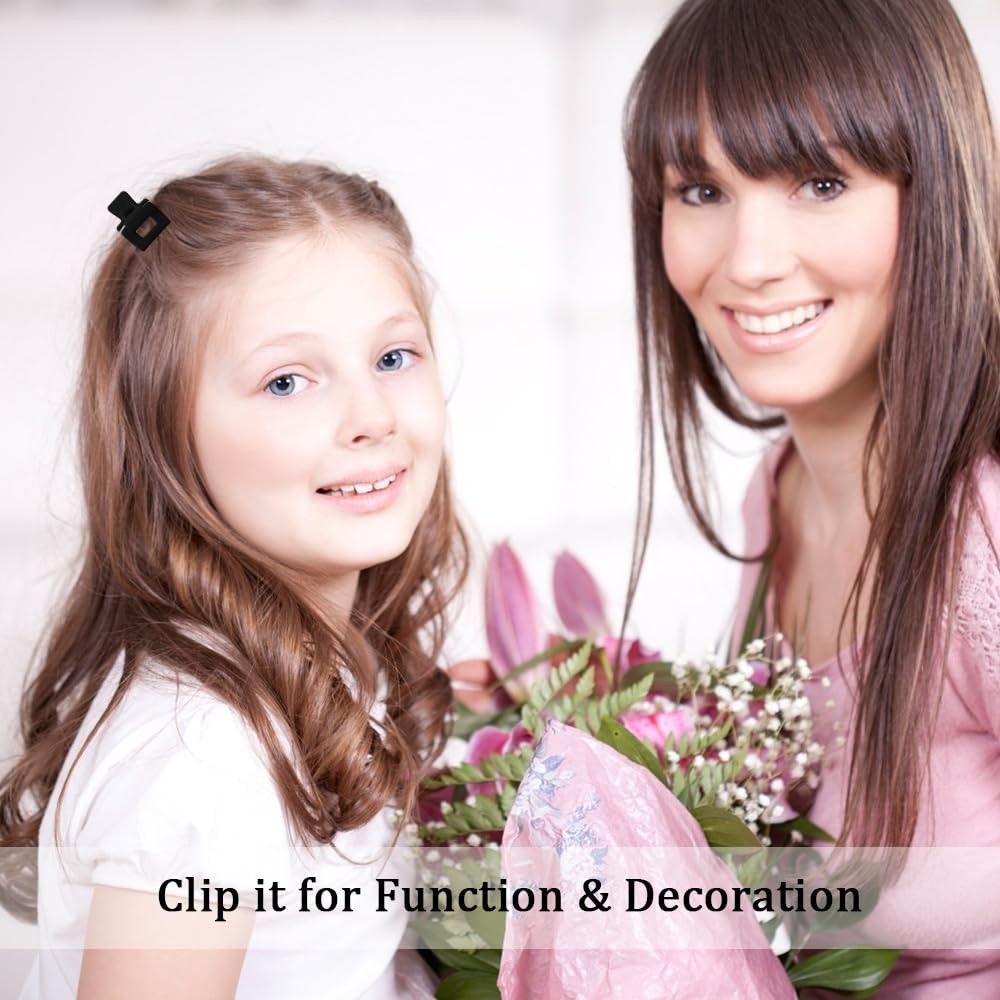 10Pcs Small Hair Clips 1 Count (Pack of 10), Black and Neutral Colors Matte