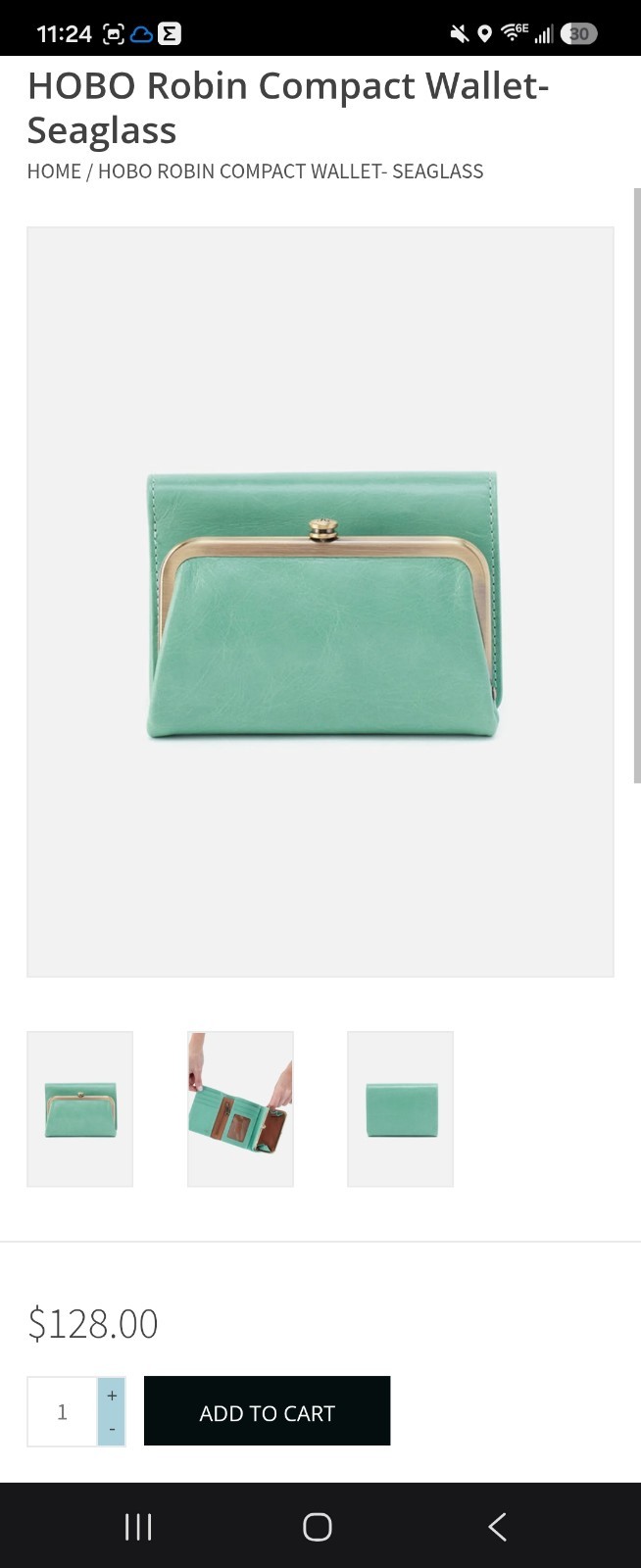 HOBO Mint Green Frame-Top Clutch Wallet with Gold Hardware (HOBO Robin Compact )