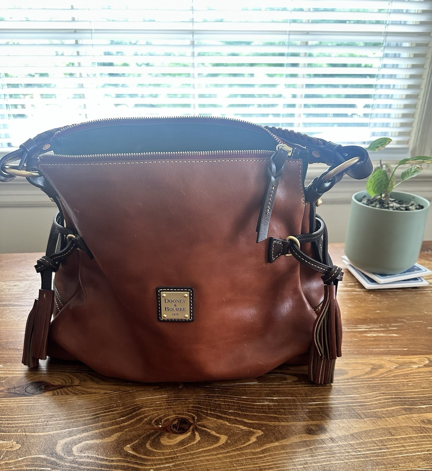 Dooney & Bourke Brown Shoulder Bag Zip Top Tassel Red Lining Gold Hardware