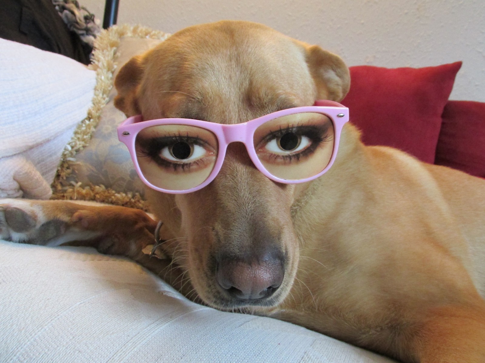 “USA Brown” – Unique Novelty Fun Glasses with Eyes from WeyesEyes.com
