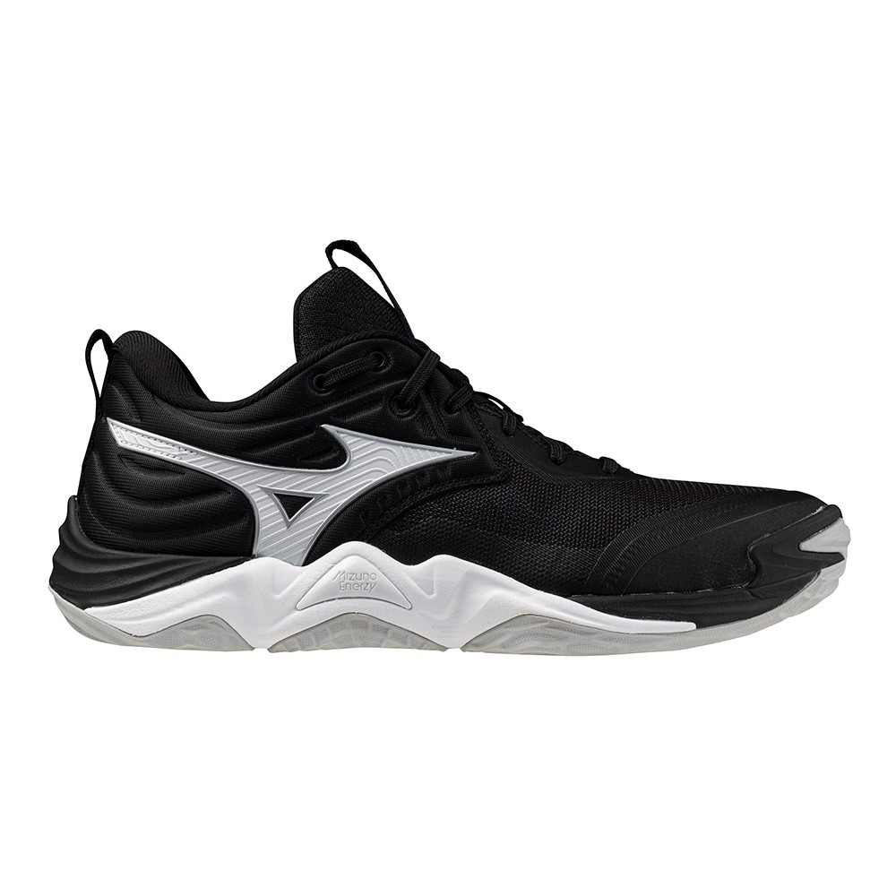 Mizuno Volleyball Shoes WAVE MOMENTUM ELITE Black/Metallic Gray/Blue V1GA251254