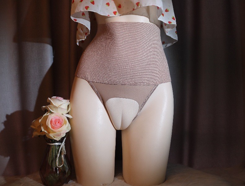 Crossdresser High Waist Control Briefs Tuck Panties Shapewear 1Pc