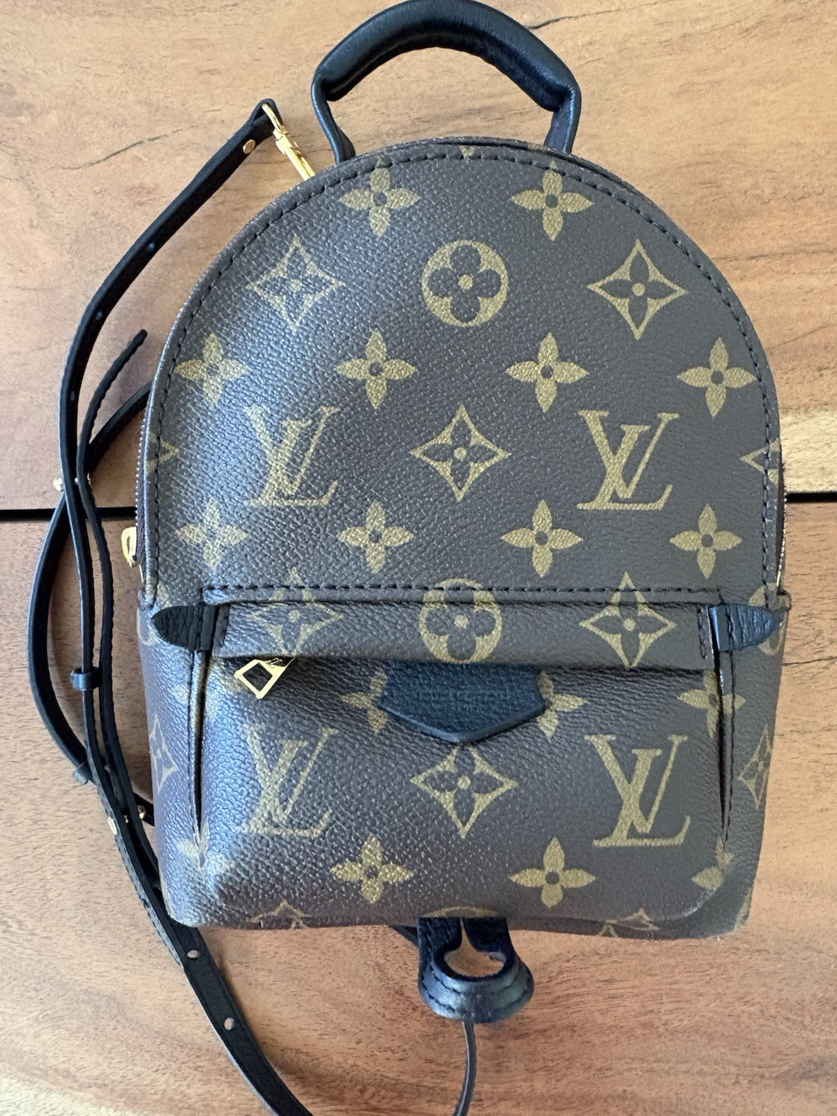 Louis Vuitton Palm Springs Backpack Mini Brown Canvas Monogram